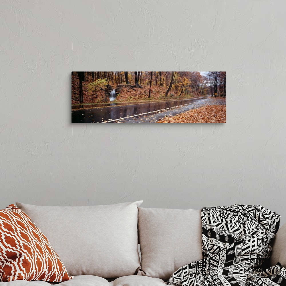 A bohemian room featuring Panoramic image of a wet, leaf littered road with fall colored trees and a small waterfall at the...