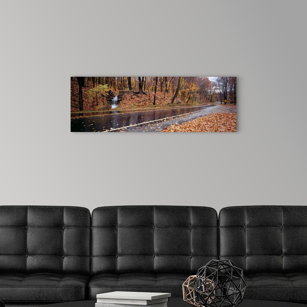 A modern room featuring Panoramic image of a wet, leaf littered road with fall colored trees and a small waterfall at the...