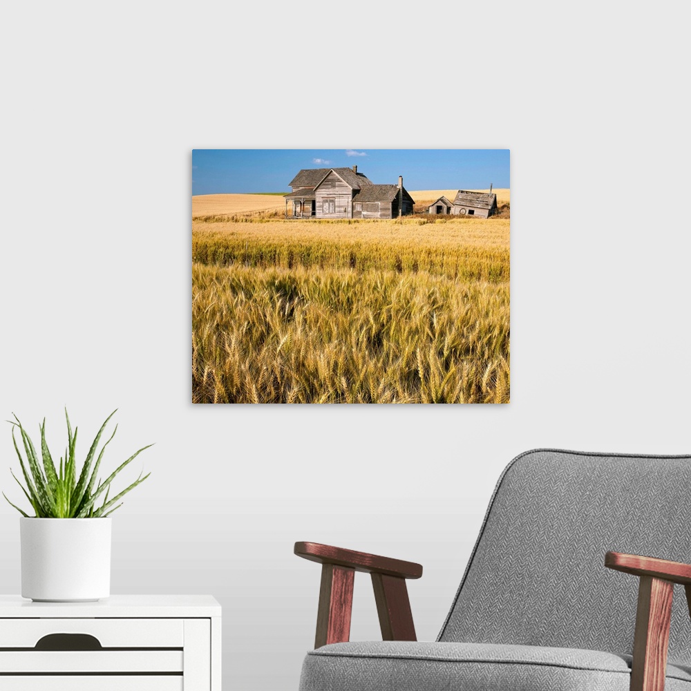 A modern room featuring Old abandoned farmhouse in a wheat field, Palouse, Washington State