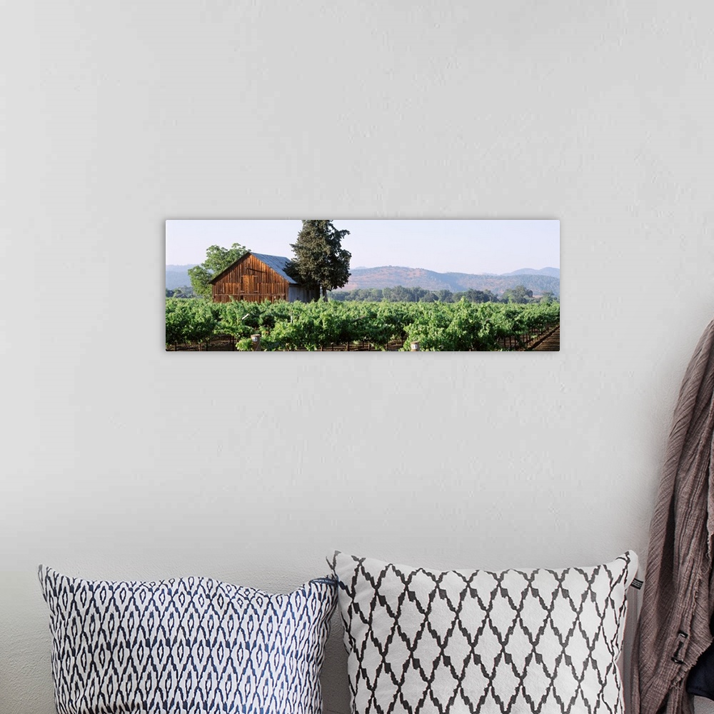 A bohemian room featuring Panoramic print of an old barn house amonst a vineyard with rolling hills in the distance.