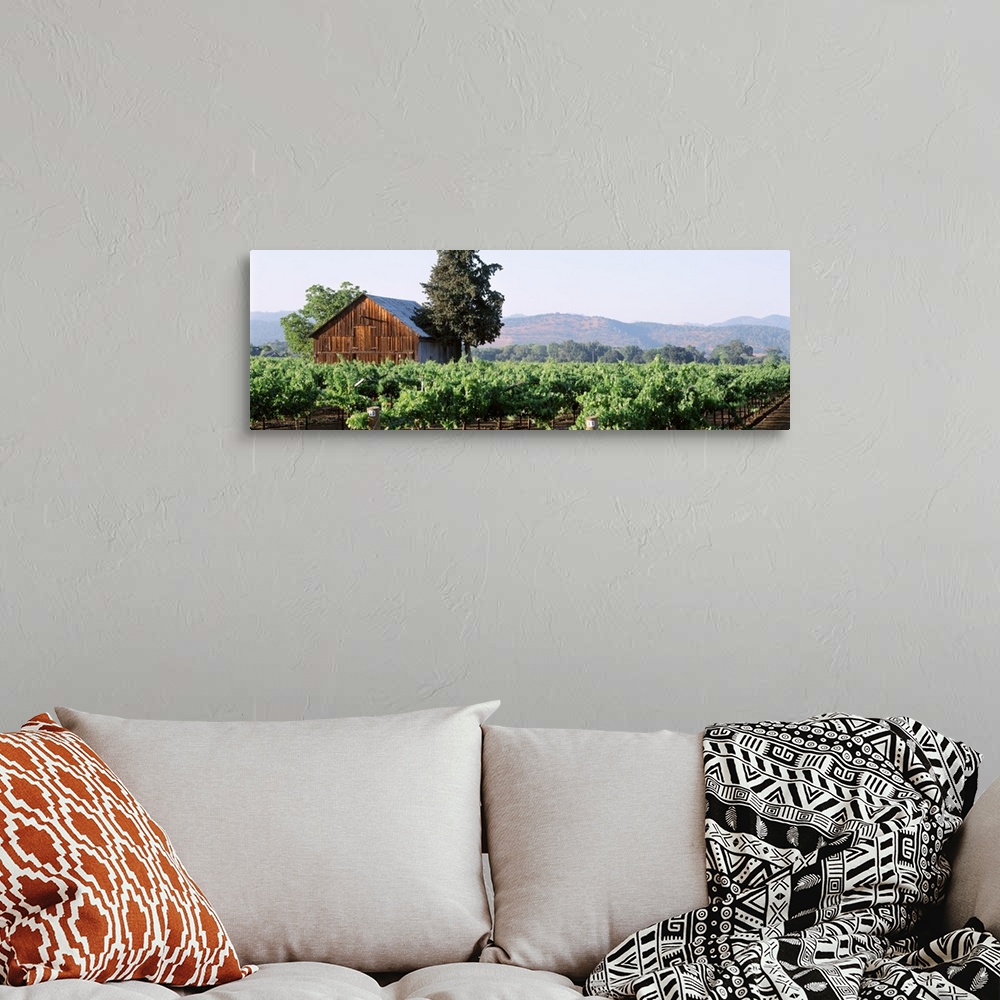 A bohemian room featuring Panoramic print of an old barn house amonst a vineyard with rolling hills in the distance.