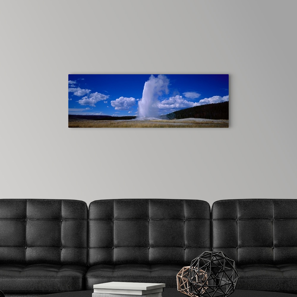 A modern room featuring Panoramic photo of a geyser shooting out steam at Yellowstone.
