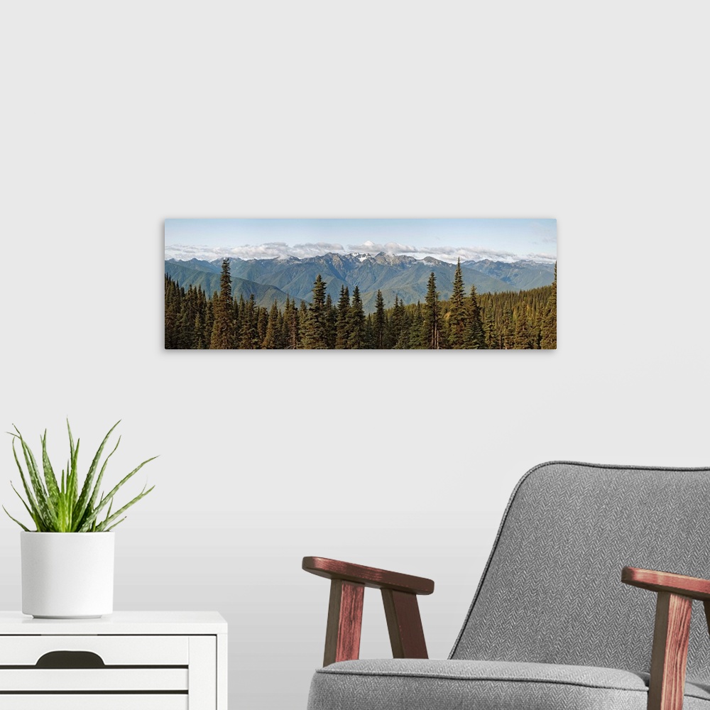 A modern room featuring Olympic Mountains, Hurricane Ridge, Olympic National Park, Washington State