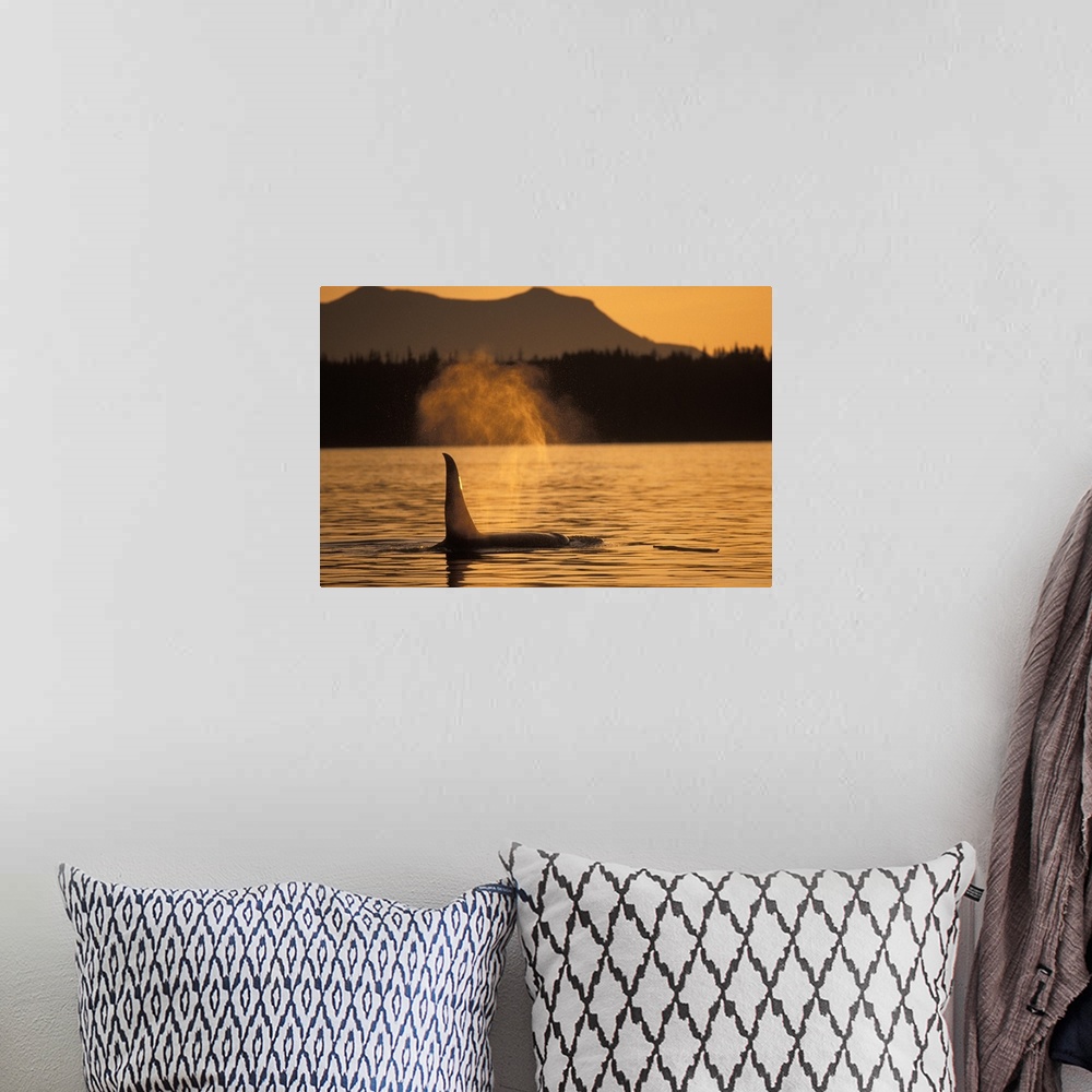 A bohemian room featuring Photo on canvas of a whale's fin peeking out of the water at sunset with mountains in the backgro...