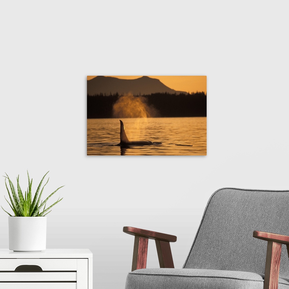 A modern room featuring Photo on canvas of a whale's fin peeking out of the water at sunset with mountains in the backgro...