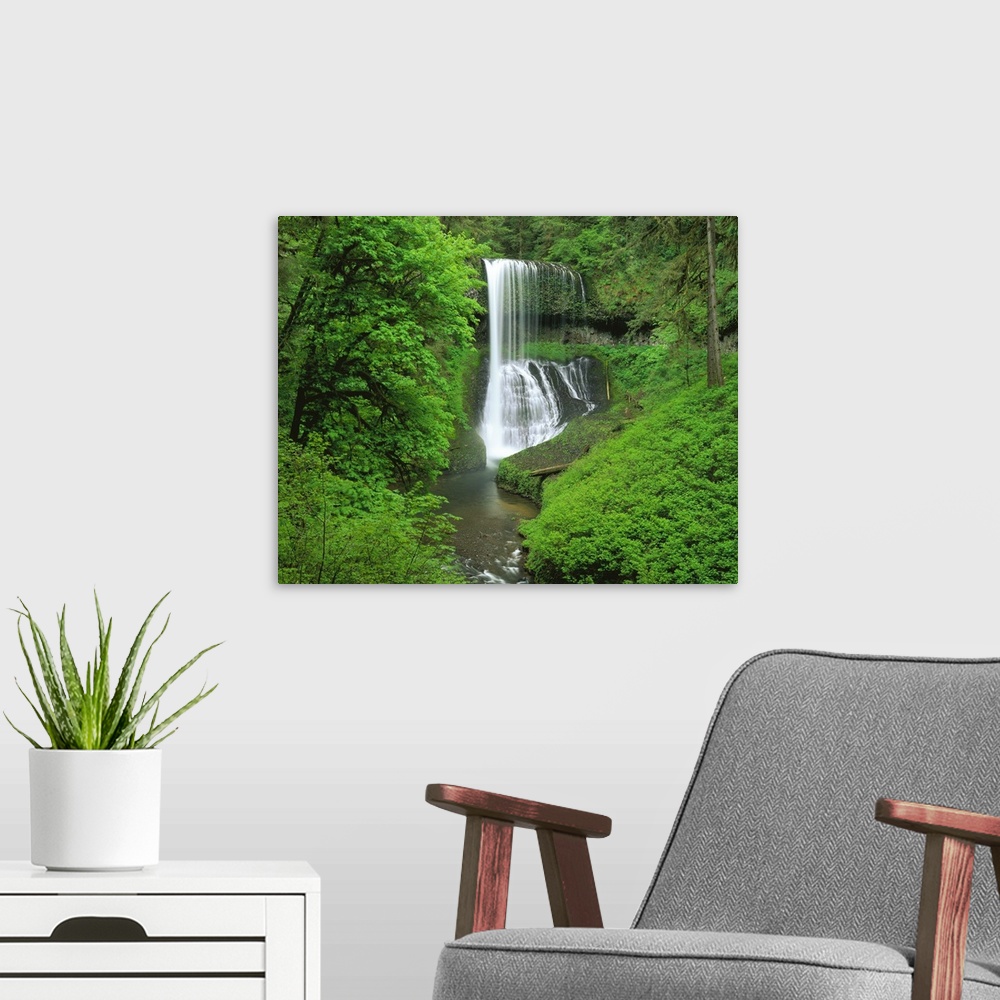 A modern room featuring Huge photograph of a dense forest within the Western United States showcases water cascading over...