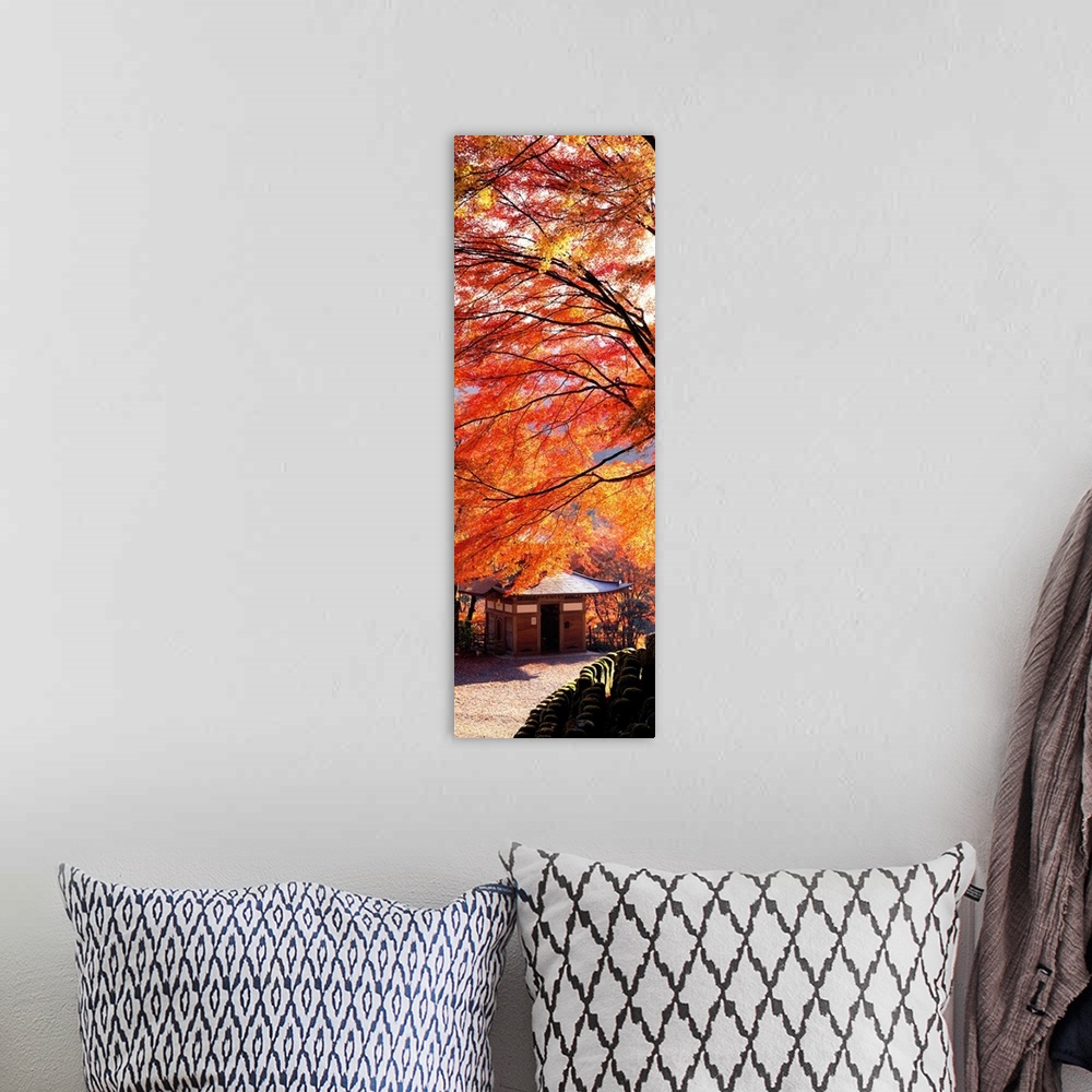 A bohemian room featuring Tall and narrow photo on canvas of brightly colored trees in Japan with a small temple below.