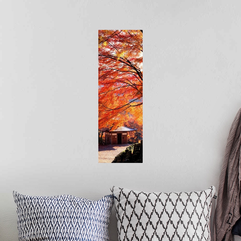 A bohemian room featuring Tall and narrow photo on canvas of brightly colored trees in Japan with a small temple below.