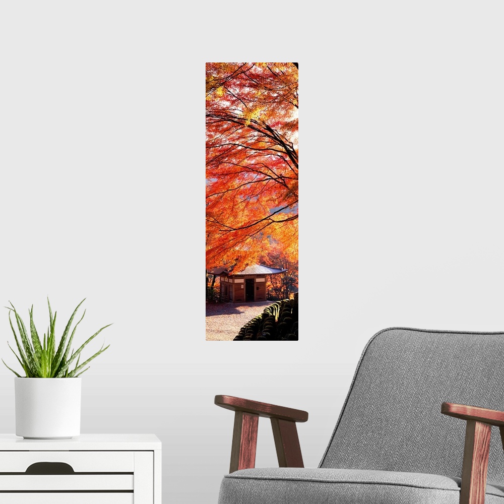 A modern room featuring Tall and narrow photo on canvas of brightly colored trees in Japan with a small temple below.