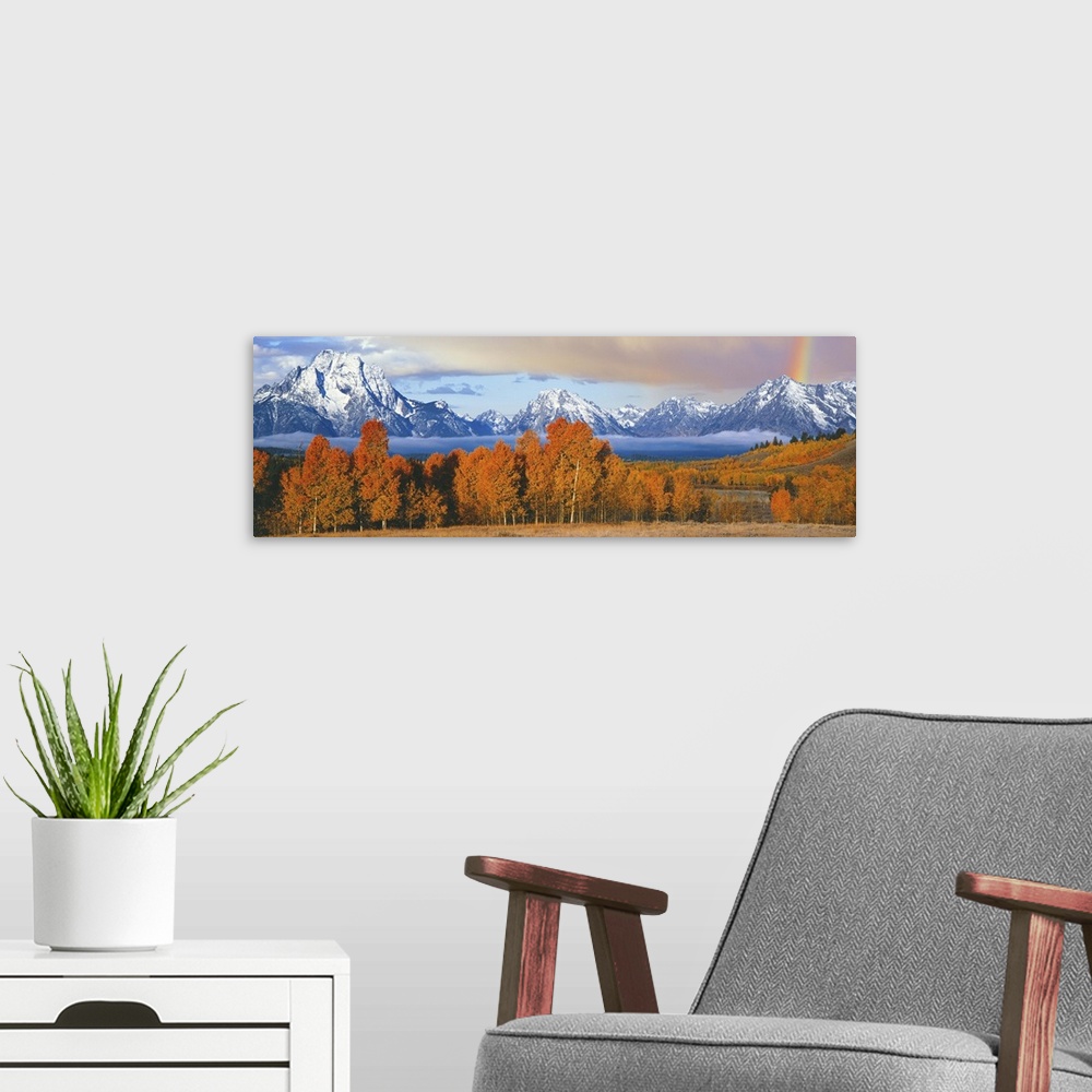 A modern room featuring Autumn trees with mountain range in the background, Oxbow Bend, Teton Range, Grand Teton National...