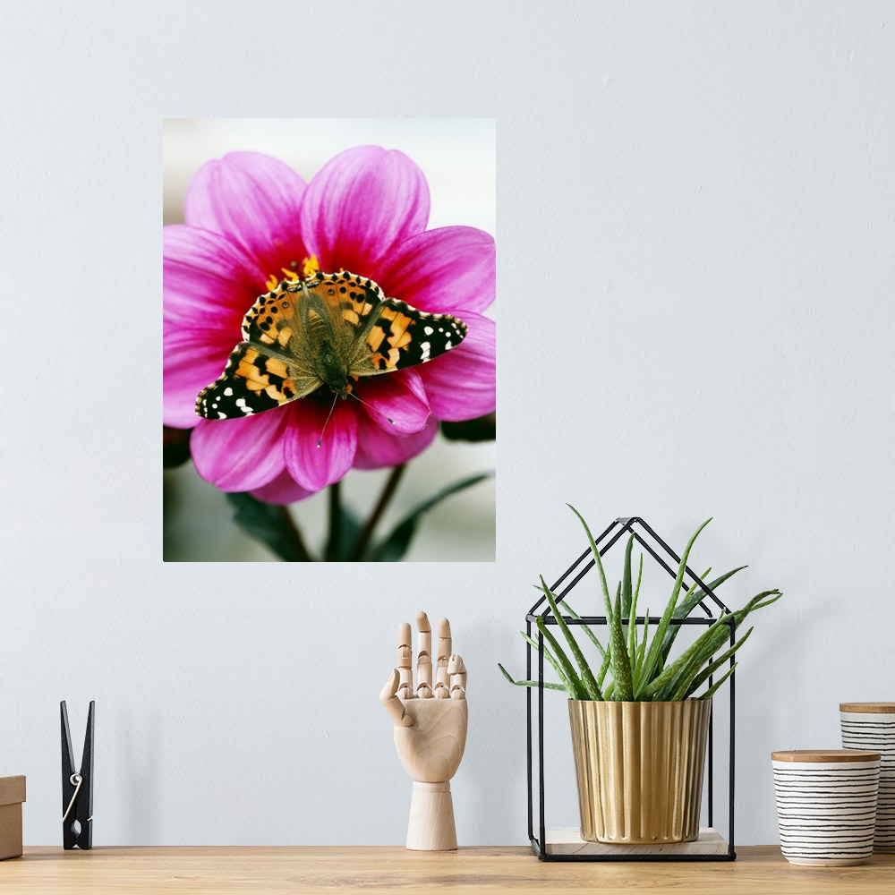 A bohemian room featuring This is a close up, vertical photograph of an insect resting on a flower in this decorative art f...