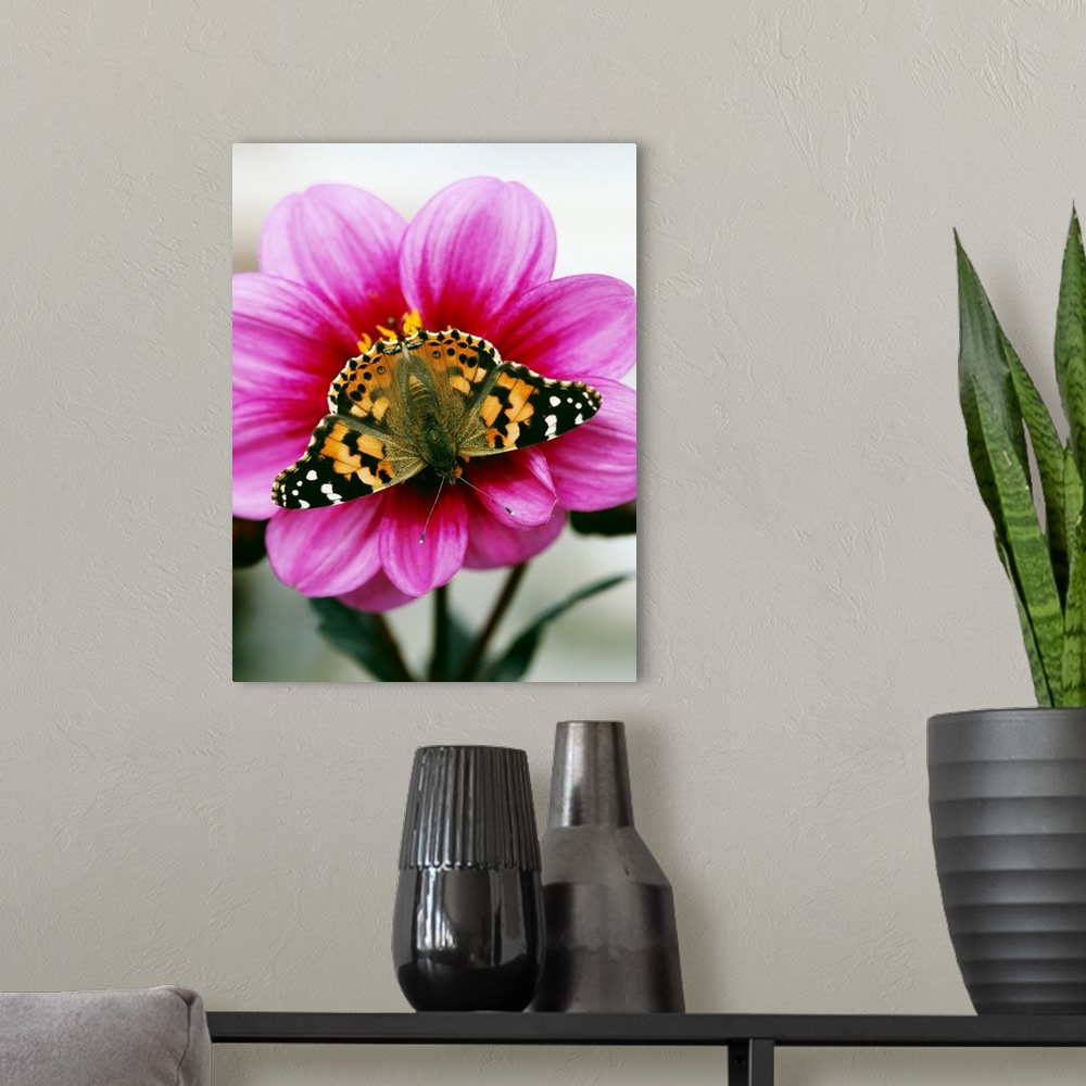 A modern room featuring This is a close up, vertical photograph of an insect resting on a flower in this decorative art f...