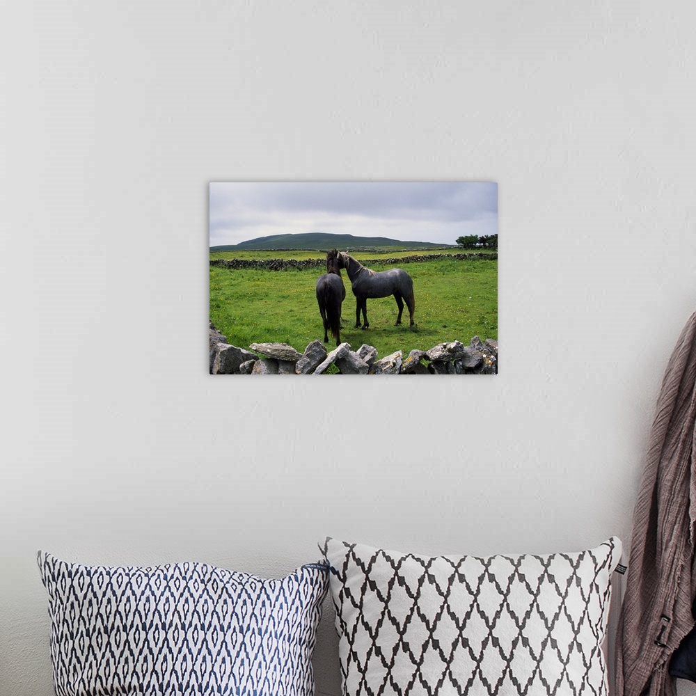 A bohemian room featuring Giant horizontal photograph of two horses standing near each other in a green, grassy field surro...