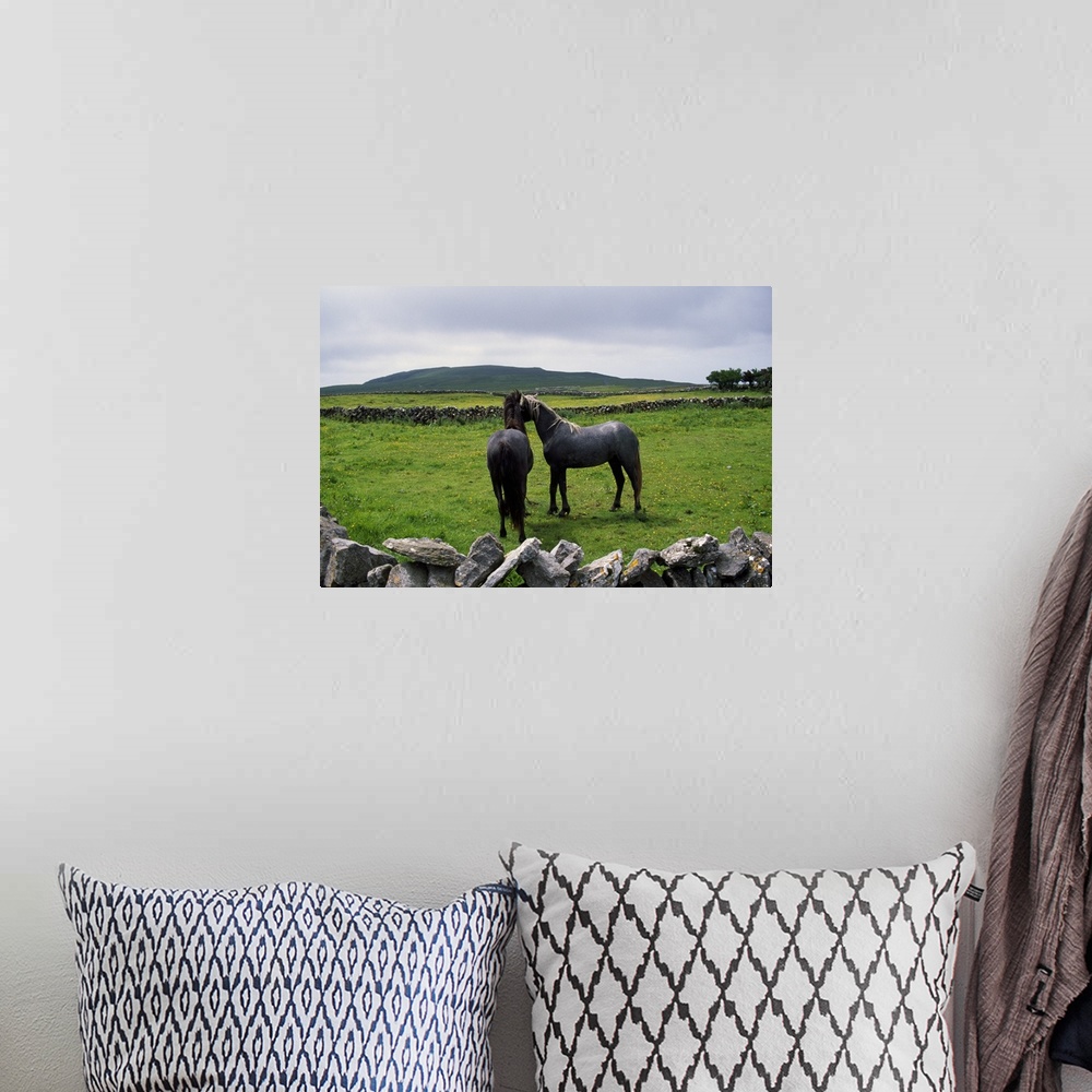 A bohemian room featuring Giant horizontal photograph of two horses standing near each other in a green, grassy field surro...