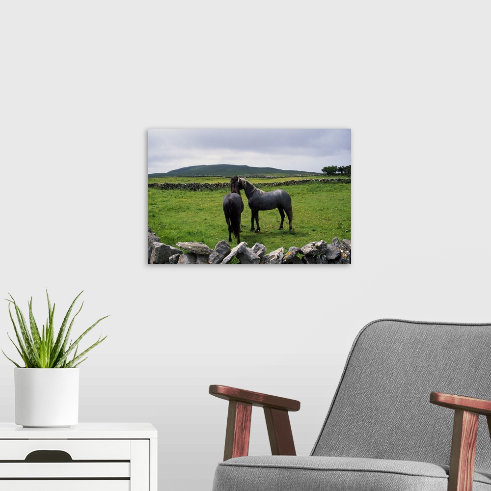 A modern room featuring Giant horizontal photograph of two horses standing near each other in a green, grassy field surro...
