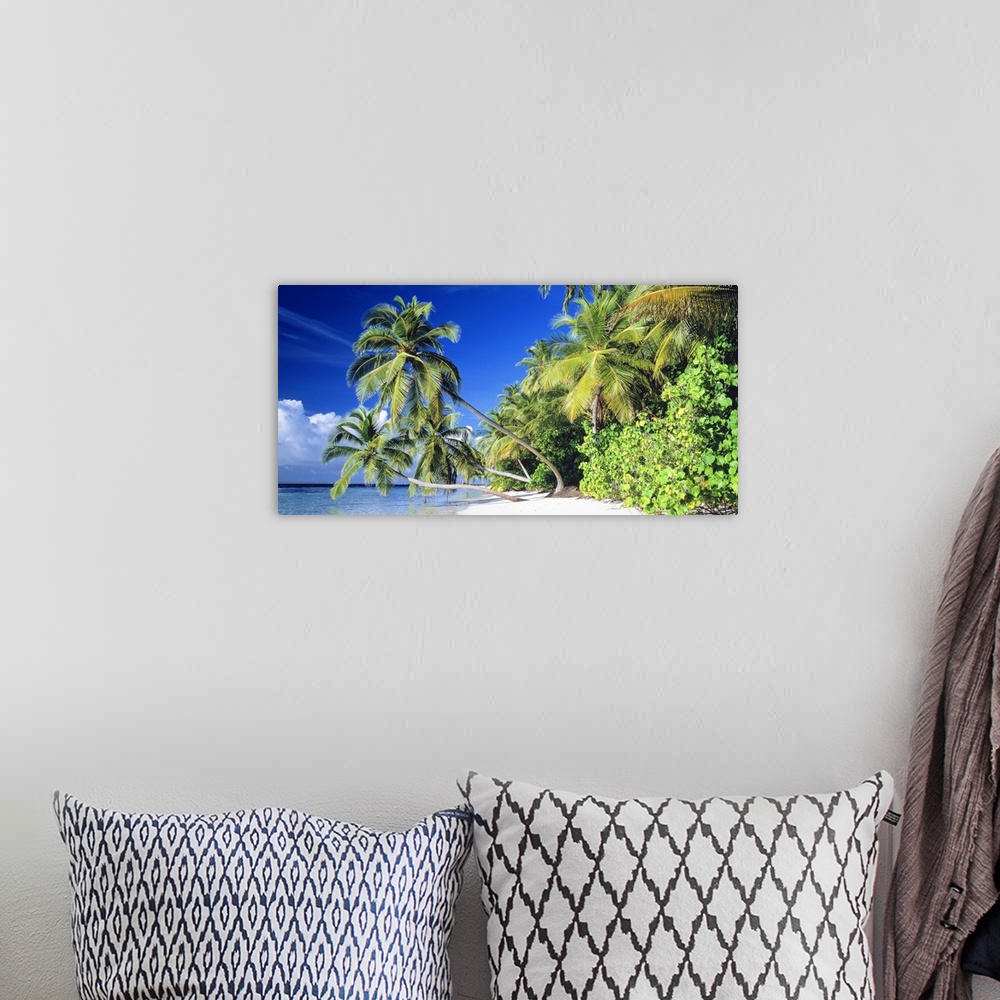 A bohemian room featuring Panoramic photograph taken of a thick forest at the edge of a beach on a sunny day.  Three palm t...