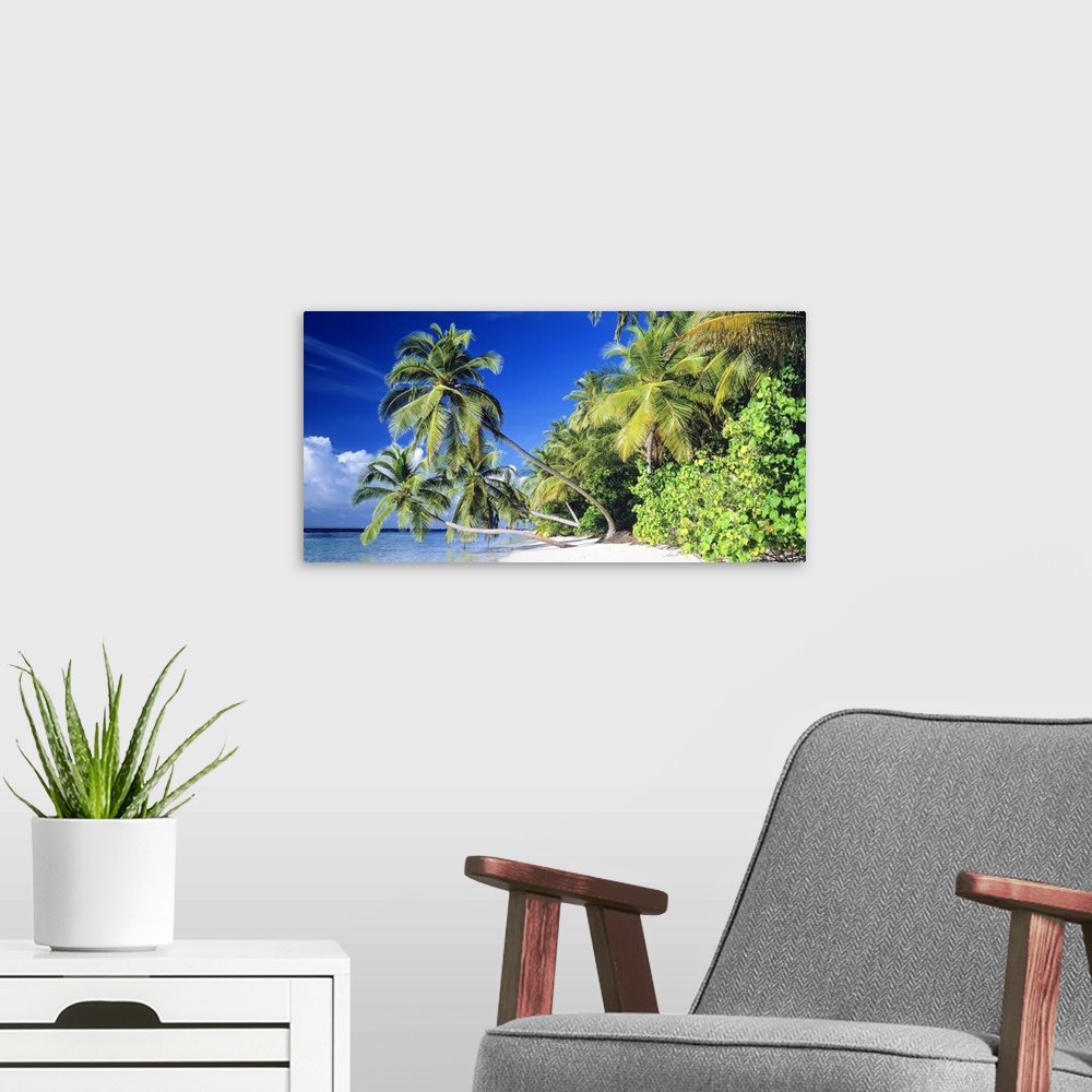 A modern room featuring Panoramic photograph taken of a thick forest at the edge of a beach on a sunny day.  Three palm t...