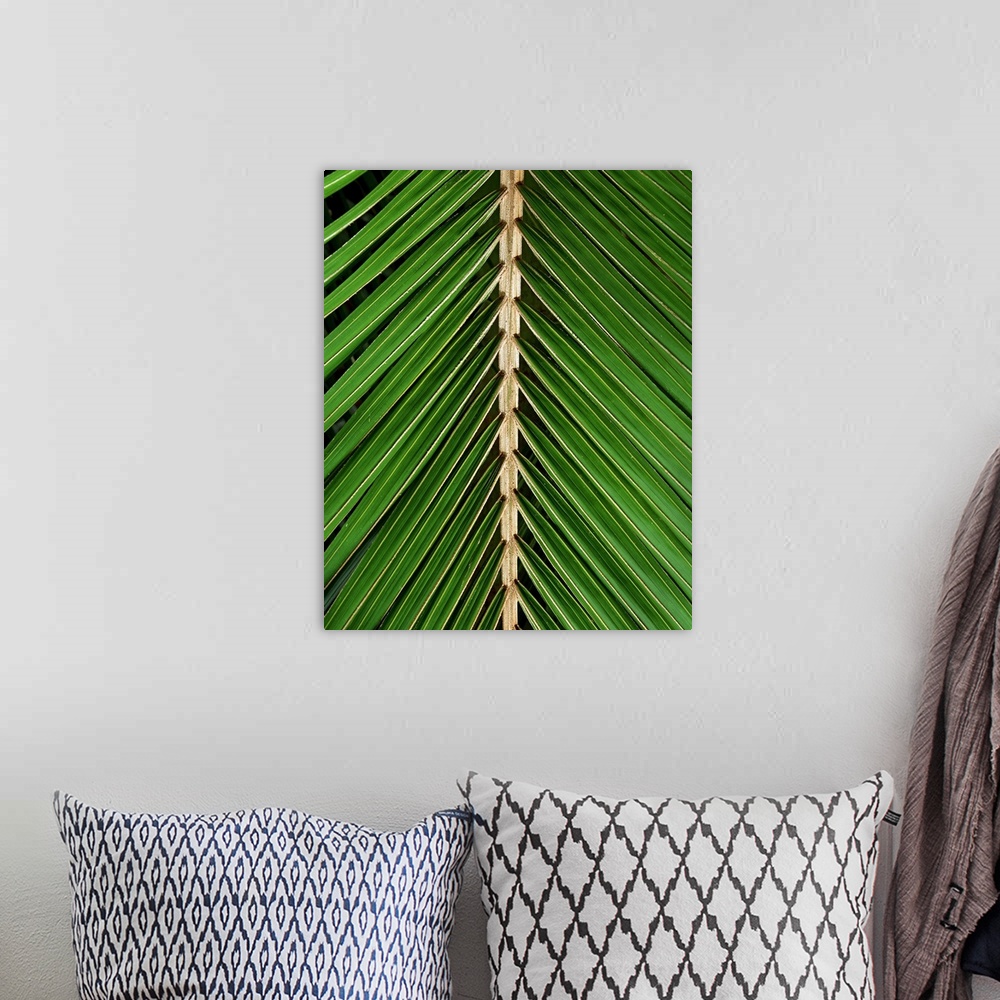 A bohemian room featuring Palm Leaf Detail