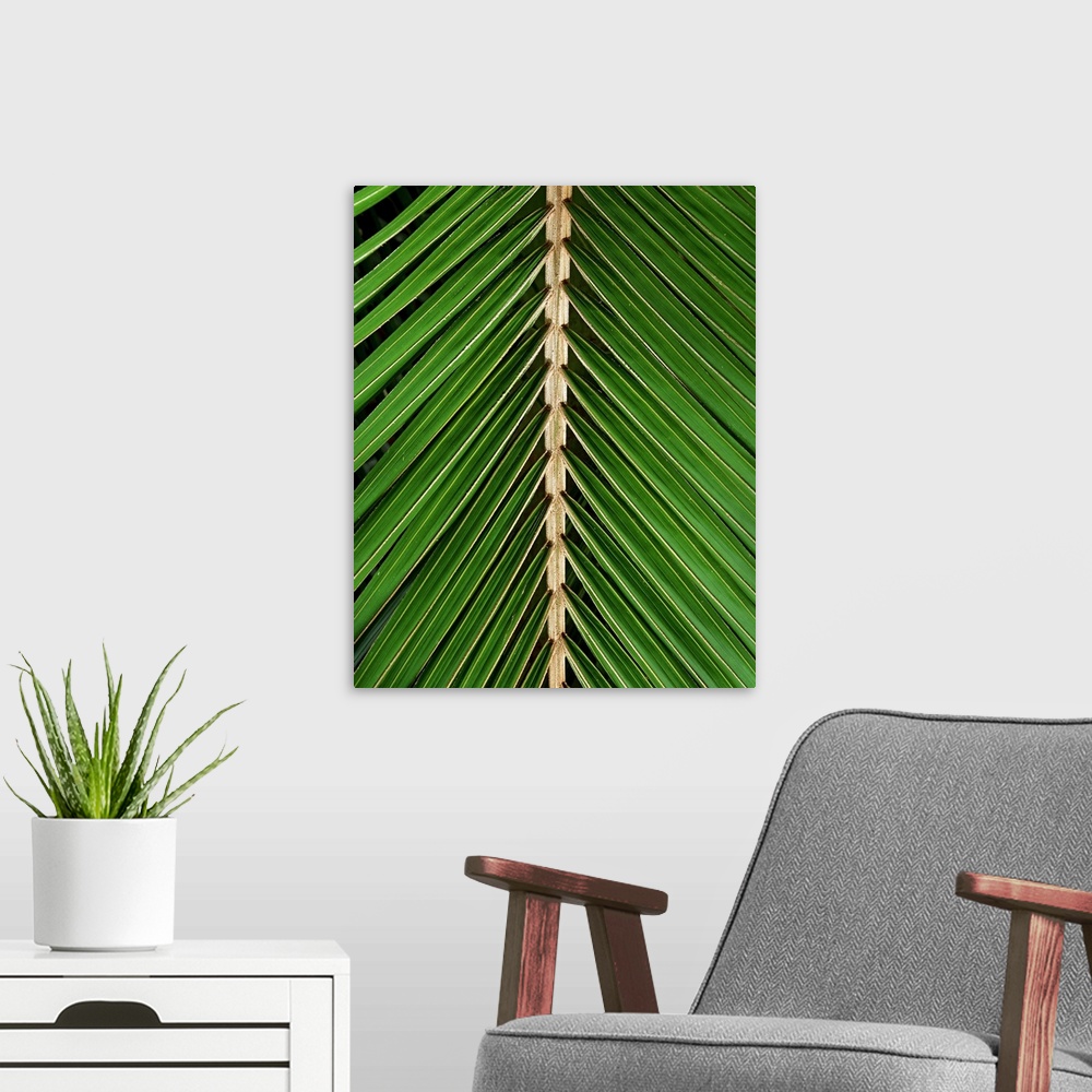 A modern room featuring Palm Leaf Detail