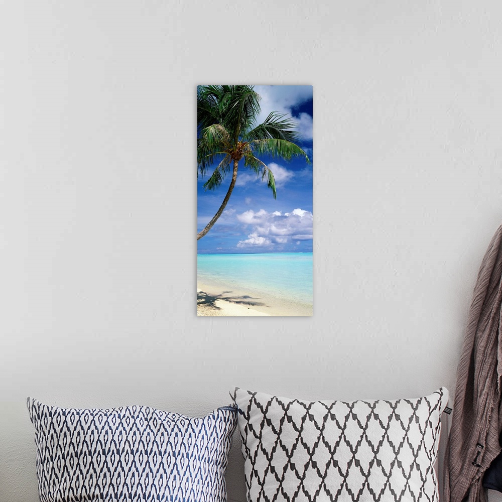 A bohemian room featuring This vertical photograph of a tropical beach is dominated by a palm tree while clouds gather on t...