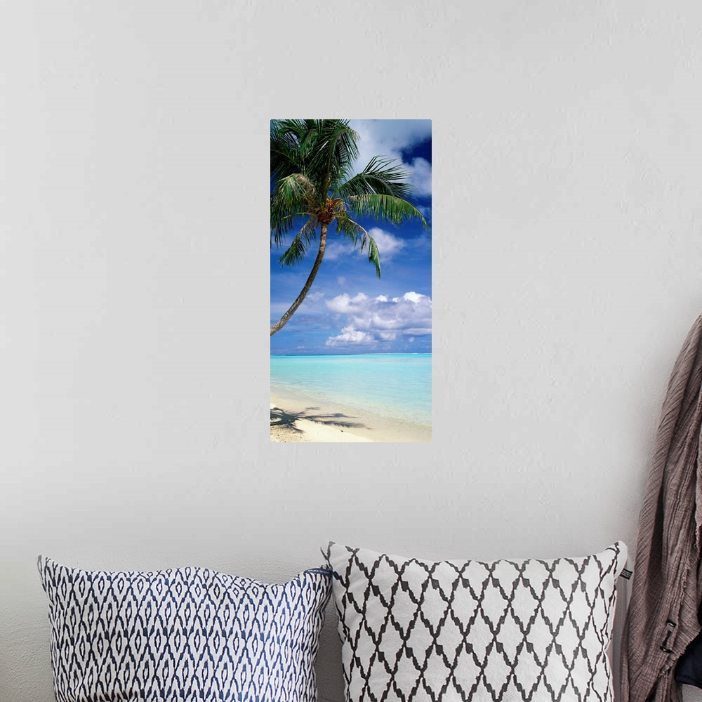 A bohemian room featuring This vertical photograph of a tropical beach is dominated by a palm tree while clouds gather on t...