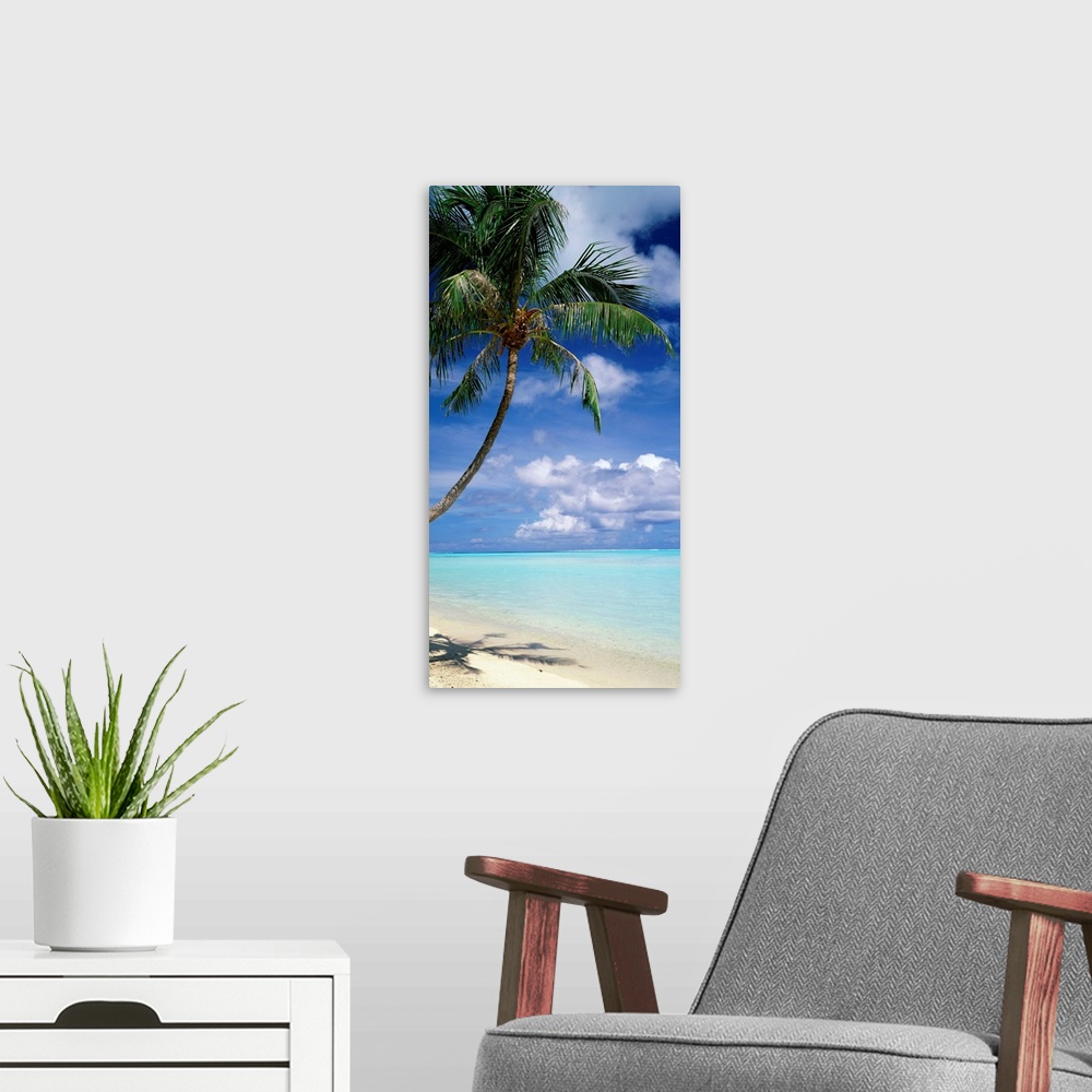 A modern room featuring This vertical photograph of a tropical beach is dominated by a palm tree while clouds gather on t...