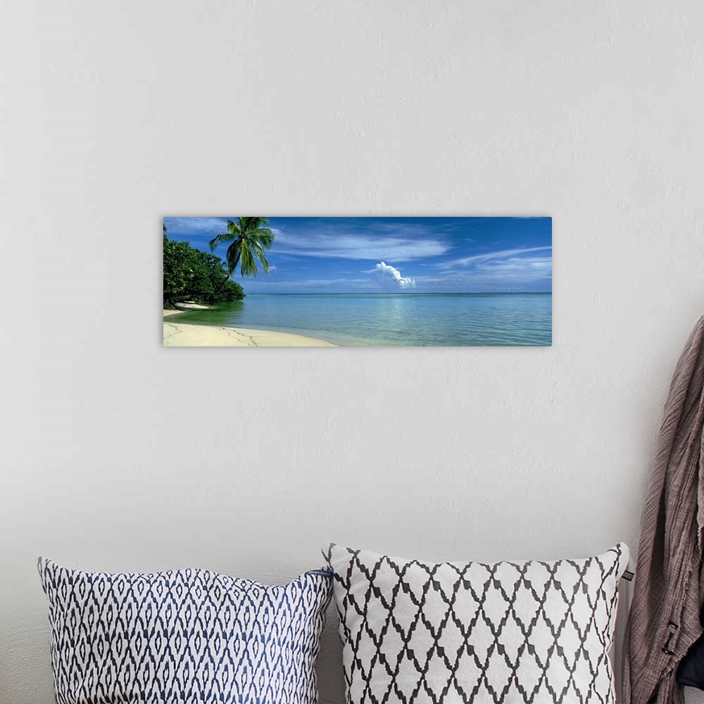 A bohemian room featuring Wide angle, big photograph of a palm tree swaying over a coast line, beneath a blue sky with swir...