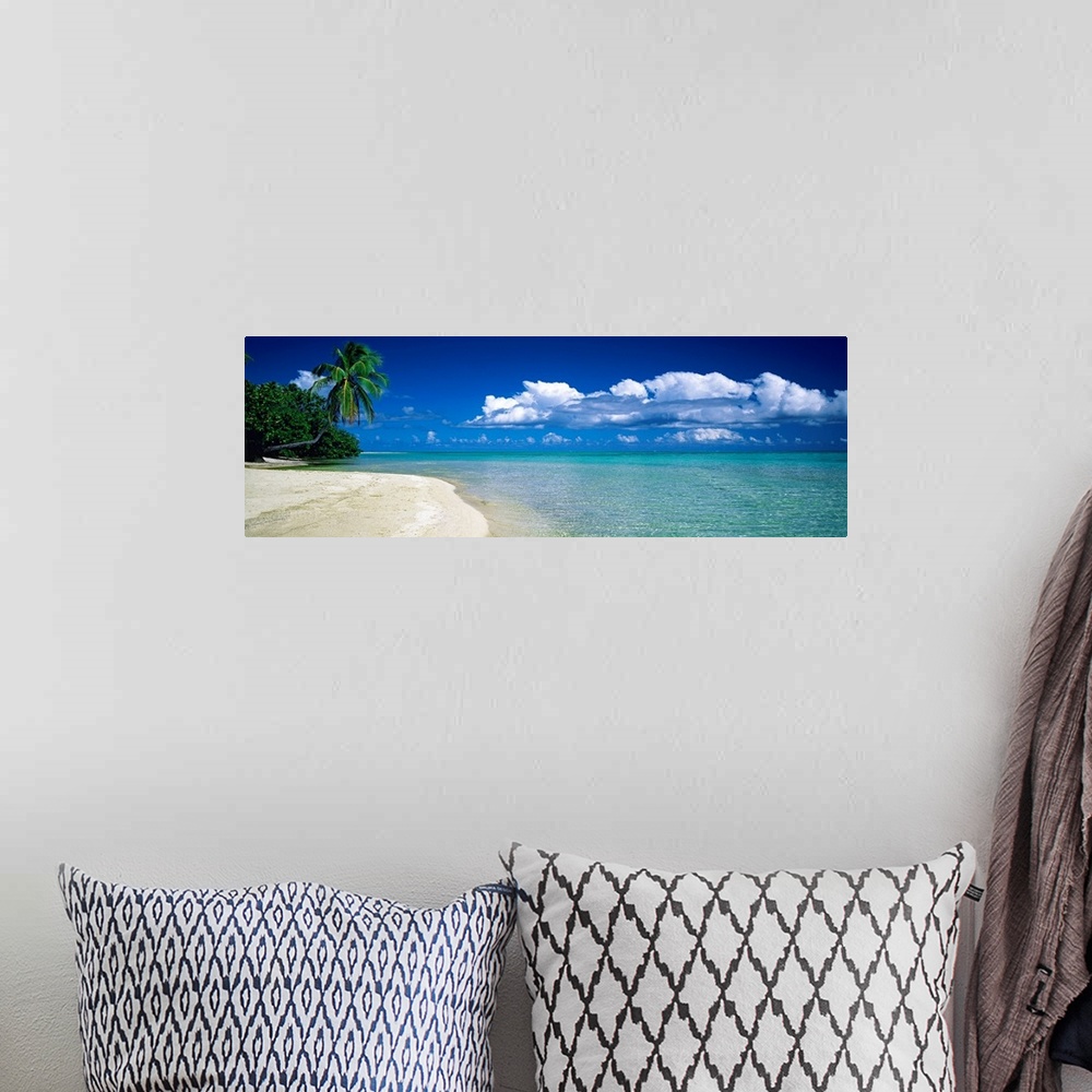 A bohemian room featuring Panoramic landscape photograph of tropical plants growing the edge of the water on the shore.