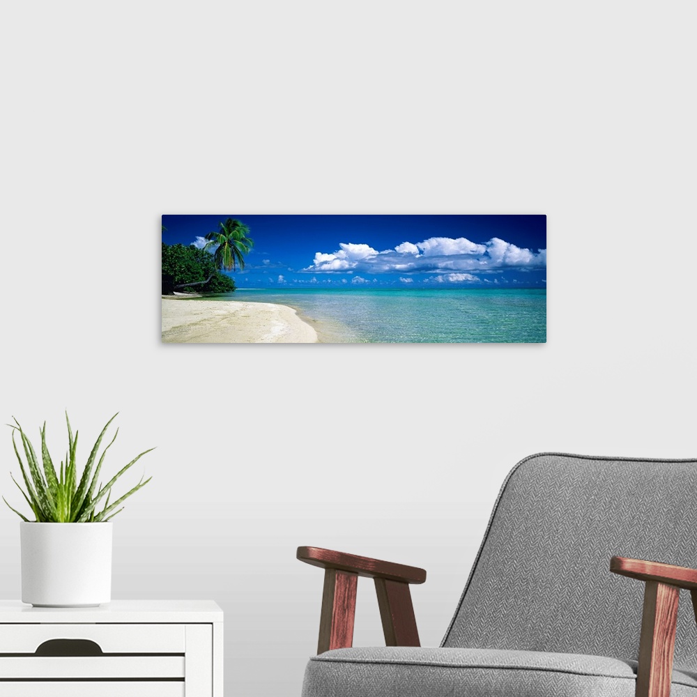 A modern room featuring Panoramic landscape photograph of tropical plants growing the edge of the water on the shore.