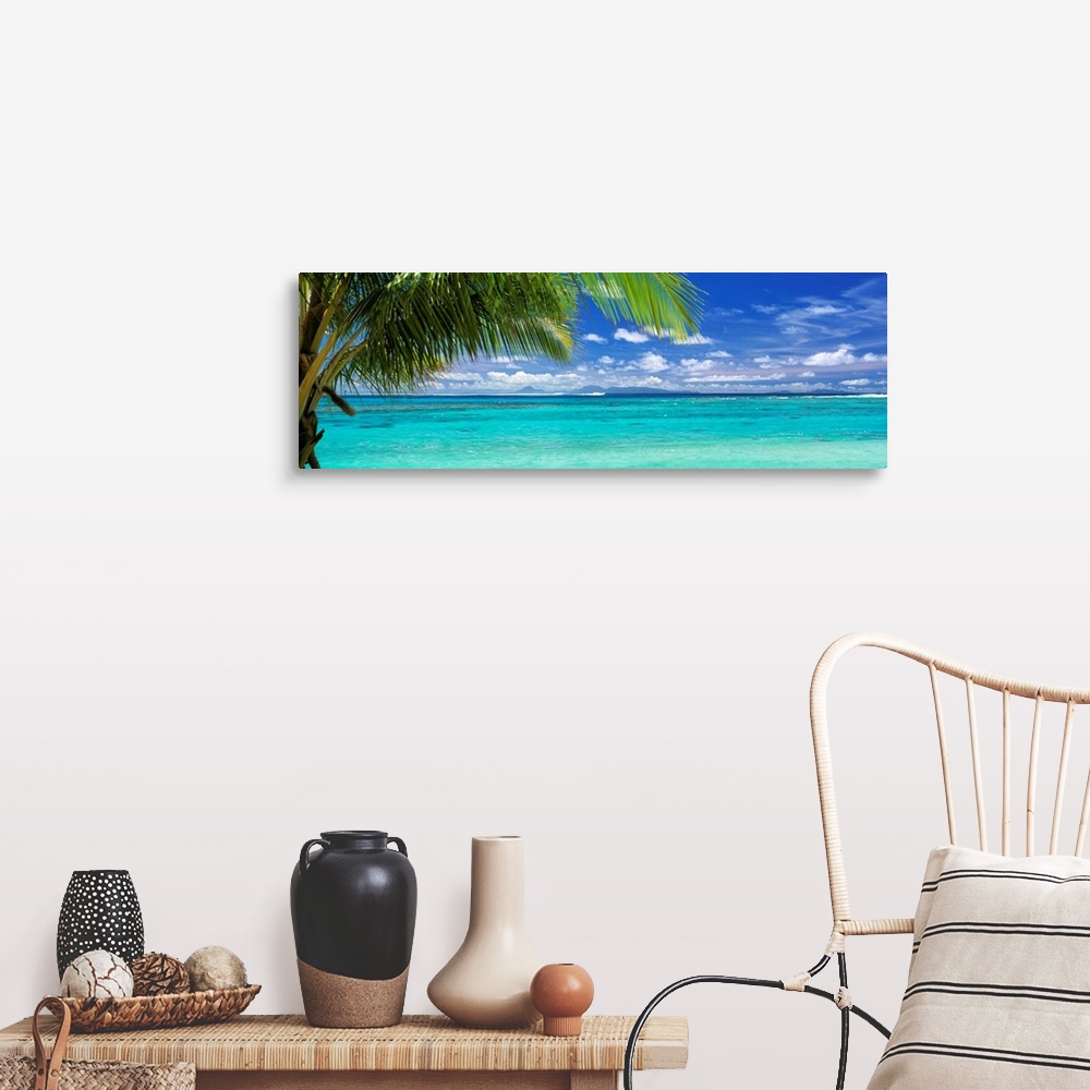 A farmhouse room featuring Panoramic photograph of a large palm tree waving over crystal clear ocean water under a bright bl...