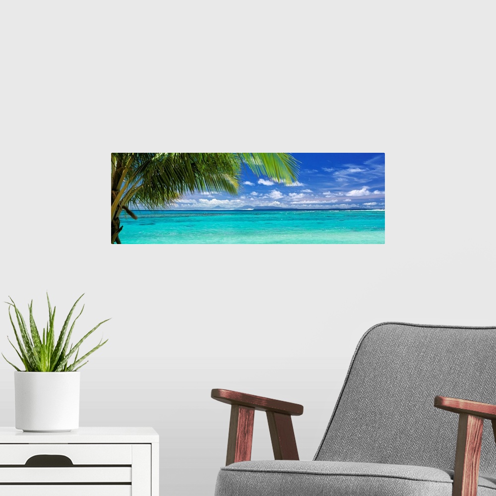 A modern room featuring Panoramic photograph of a large palm tree waving over crystal clear ocean water under a bright bl...