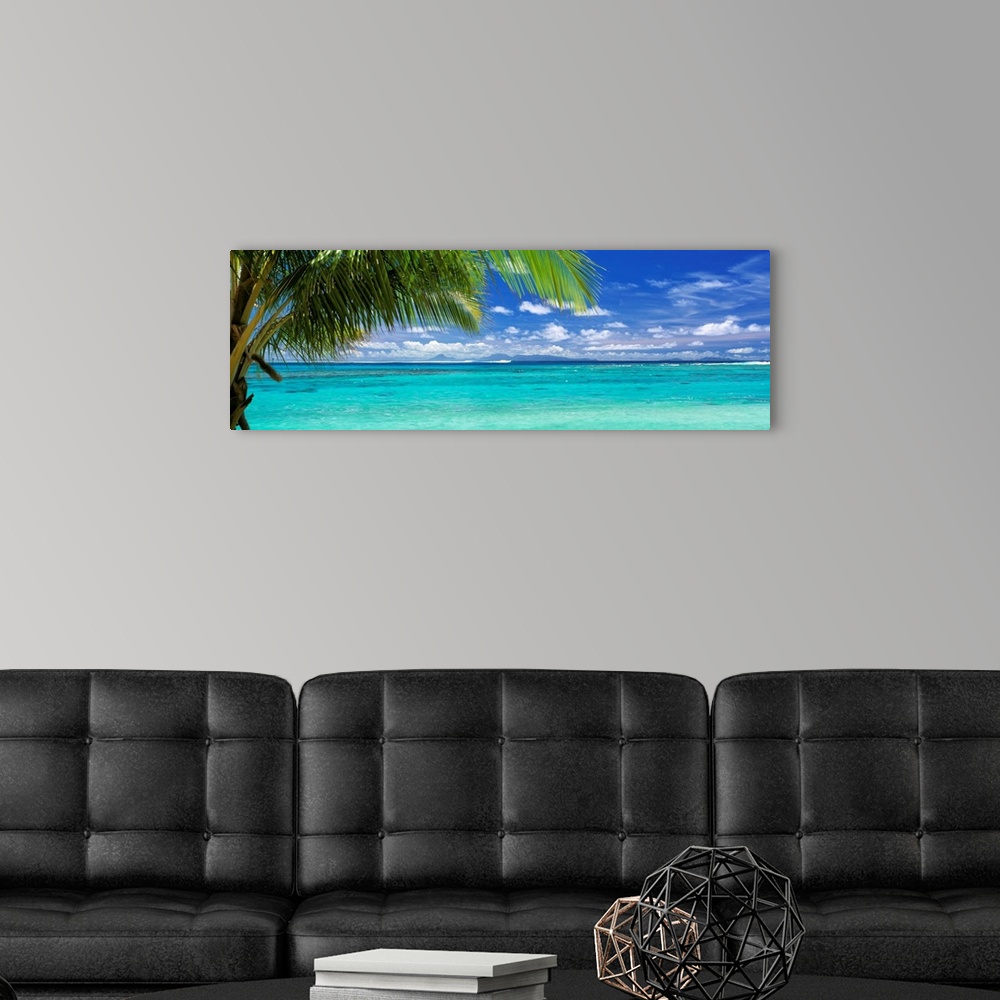 A modern room featuring Panoramic photograph of a large palm tree waving over crystal clear ocean water under a bright bl...