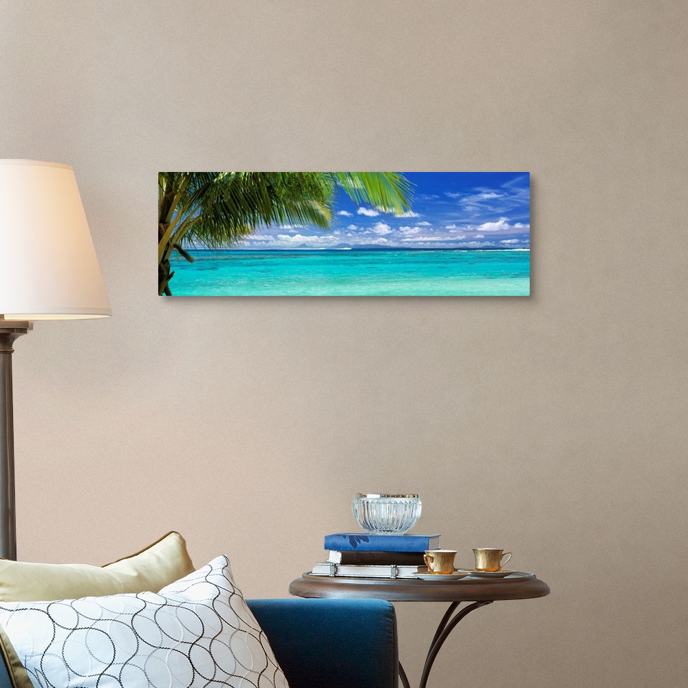 A traditional room featuring Panoramic photograph of a large palm tree waving over crystal clear ocean water under a bright bl...