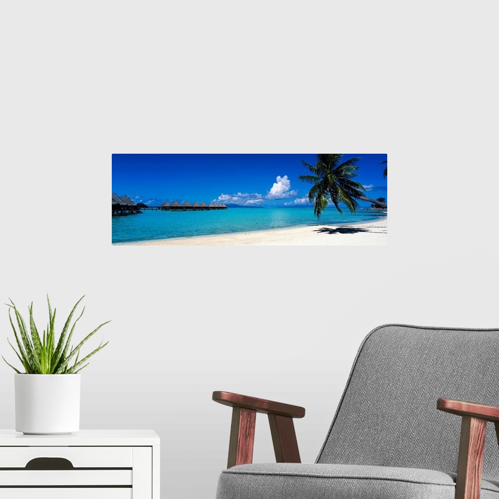 A modern room featuring A panoramic photograph of a tropical beach with palm trees and thatch huts over the water.