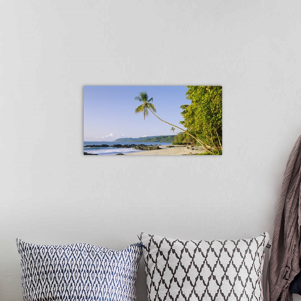 A bohemian room featuring Palm tree on the beach, Montezuma Beach, Nicoya Peninsula, Costa Rica