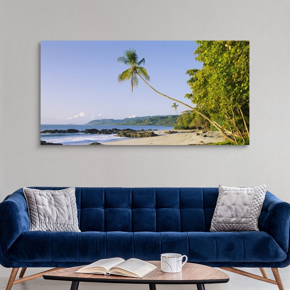 A modern room featuring Palm tree on the beach, Montezuma Beach, Nicoya Peninsula, Costa Rica
