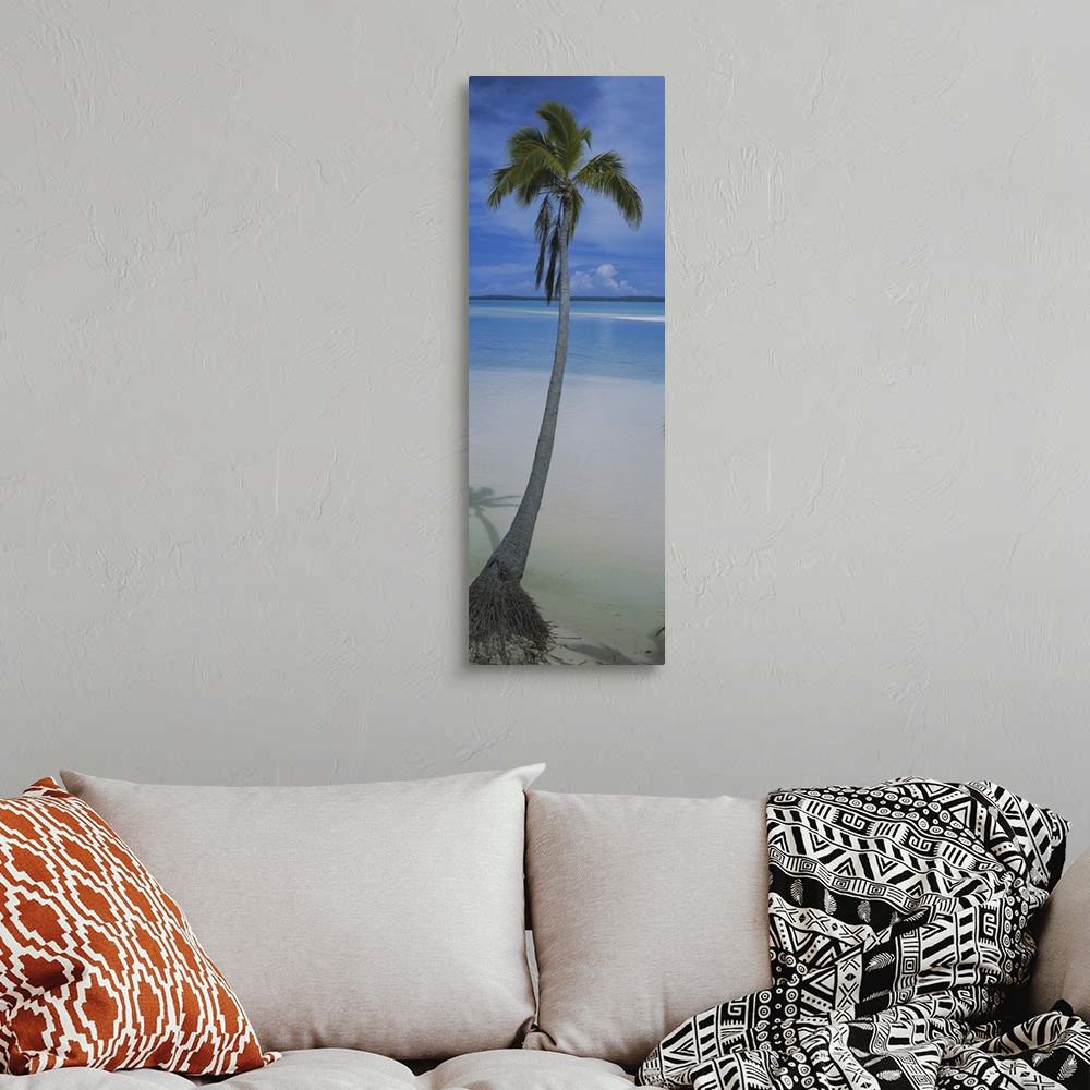 A bohemian room featuring A single palm tree is photographed in vertical panoramic view with sand and ocean water just in f...
