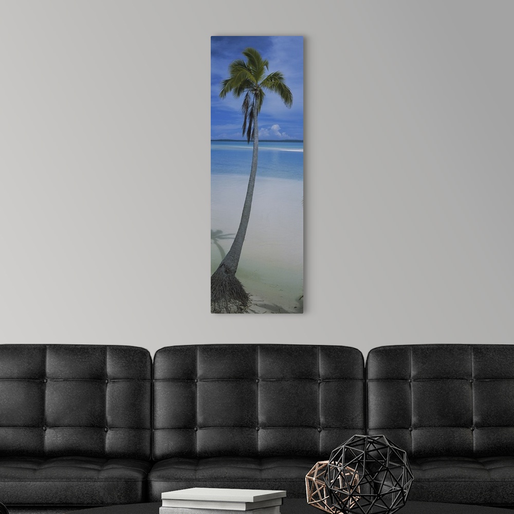 A modern room featuring A single palm tree is photographed in vertical panoramic view with sand and ocean water just in f...