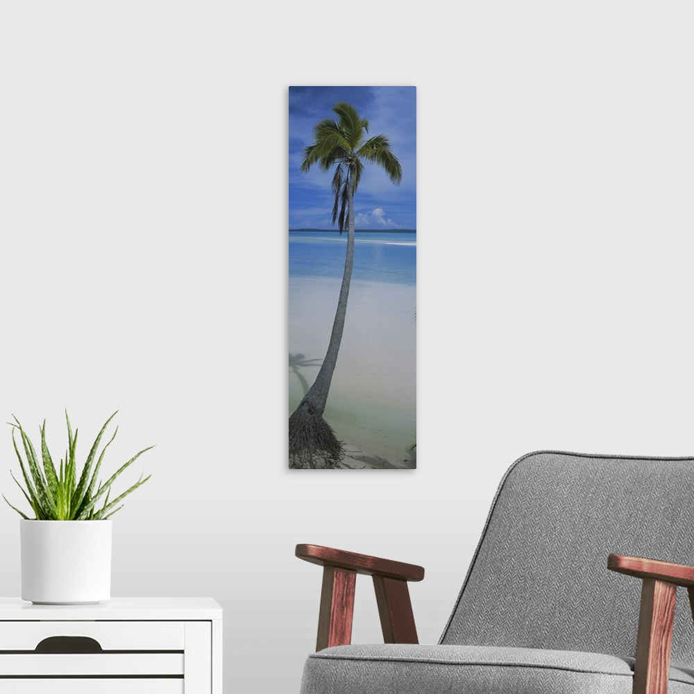 A modern room featuring A single palm tree is photographed in vertical panoramic view with sand and ocean water just in f...