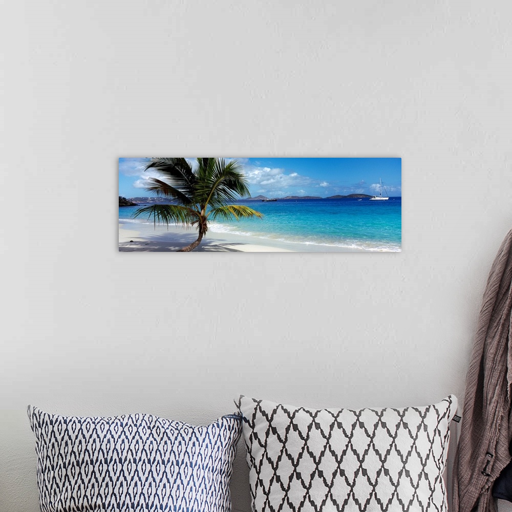 A bohemian room featuring Panoramic photo on canvas of a big palm tree sticking out onto the ocean shore with a sail boat a...