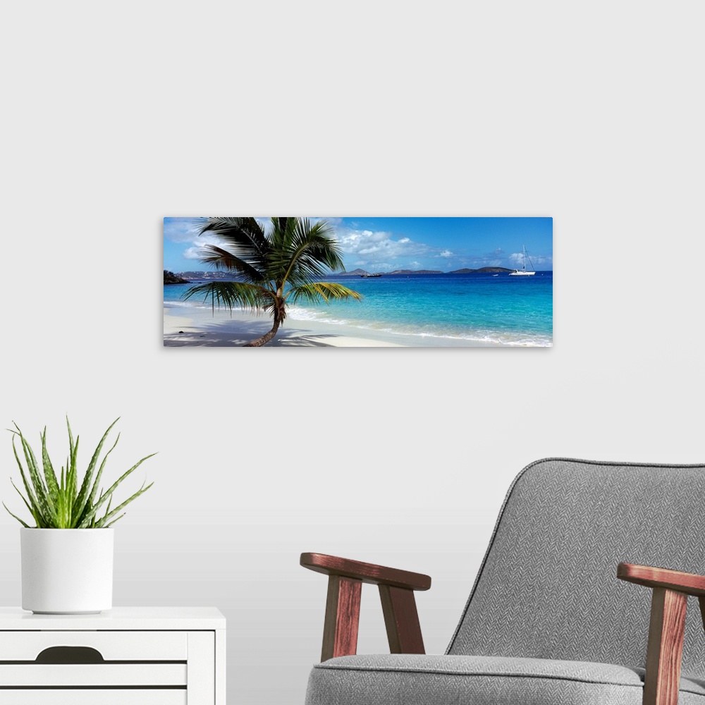 A modern room featuring Panoramic photo on canvas of a big palm tree sticking out onto the ocean shore with a sail boat a...