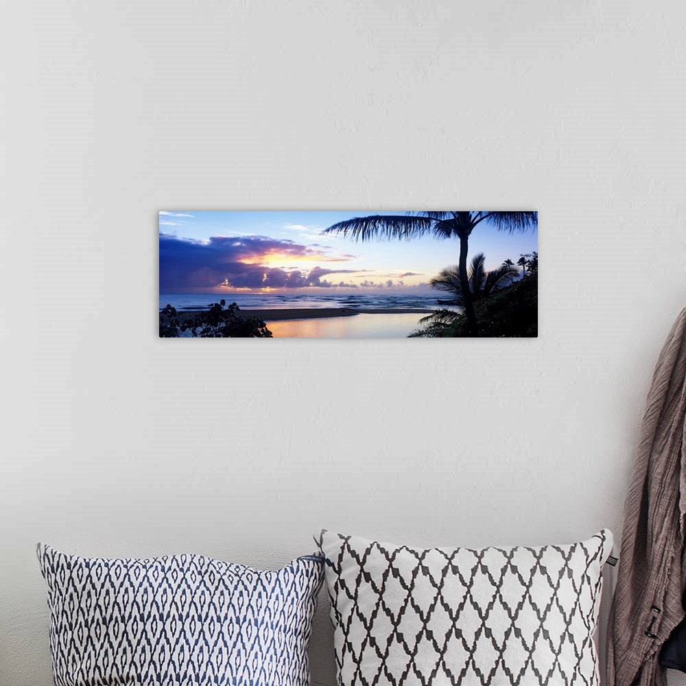 A bohemian room featuring Clouds filled the horizon as the sun sets behind them and in the foreground silhouetted tropical ...