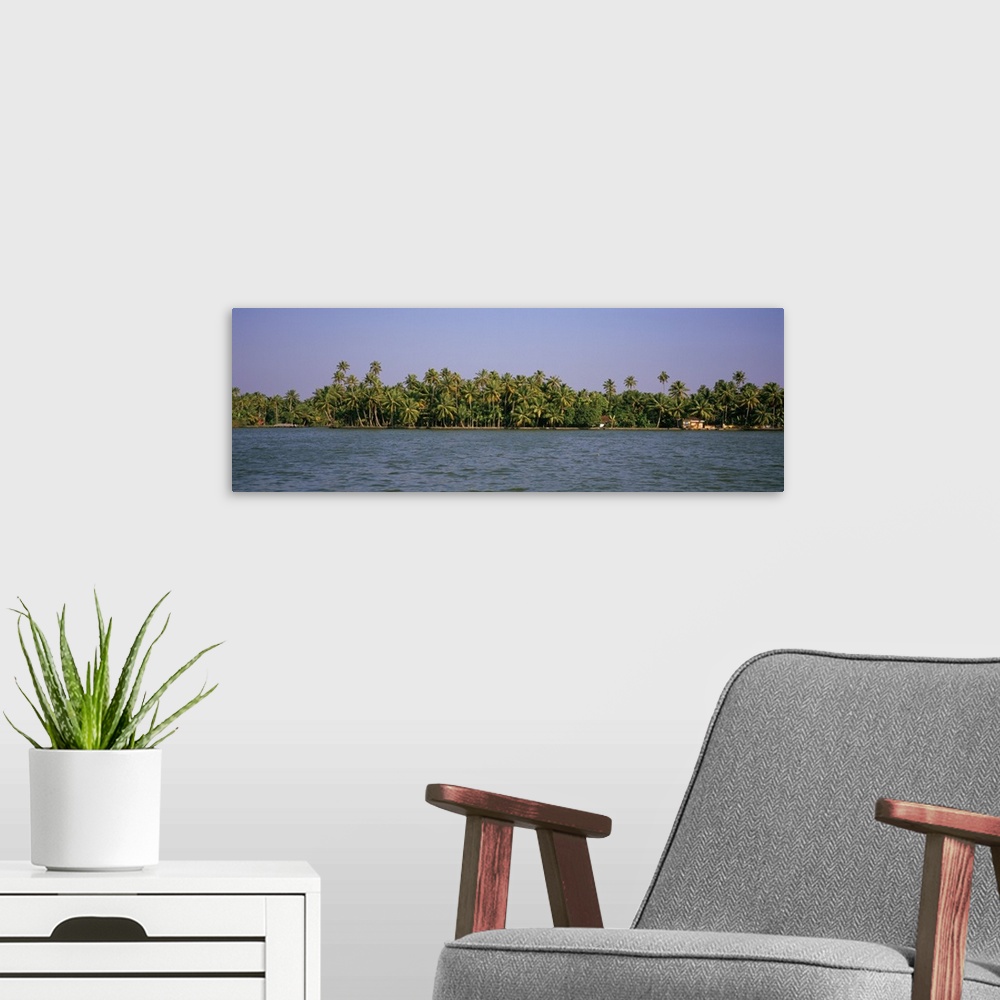 A modern room featuring Palm trees along a lake, Vembanad Lake, Kerala, India