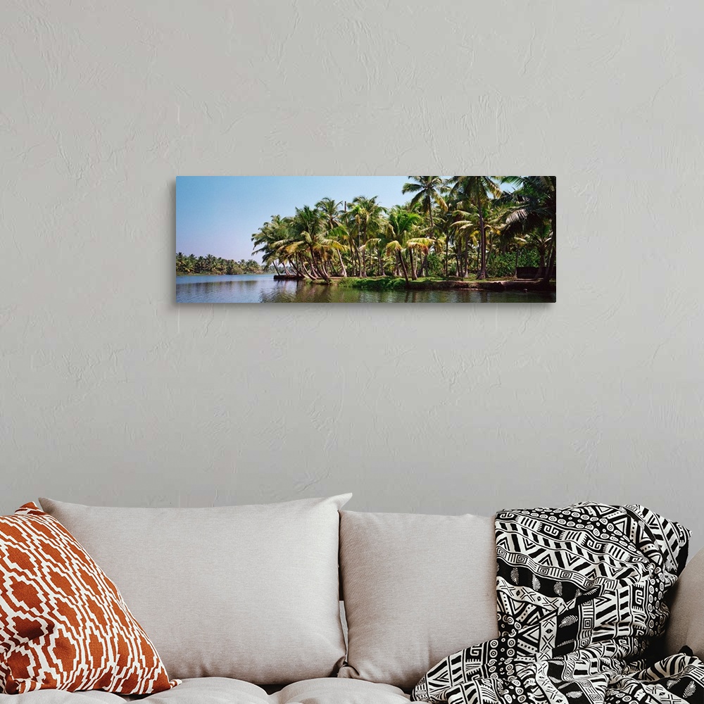 A bohemian room featuring Palm trees along a river, Kerala, India