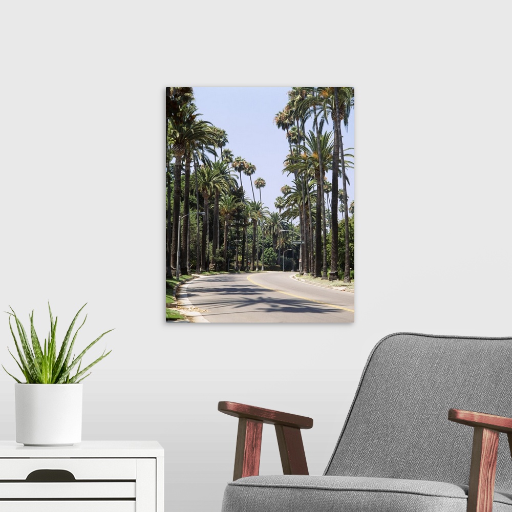 A modern room featuring Palm trees along a road, City of Los Angeles, California