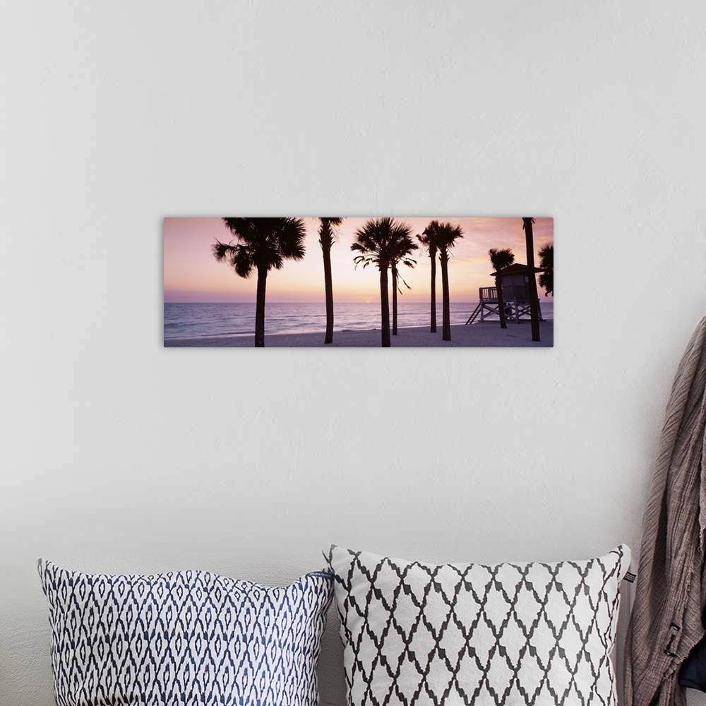 A bohemian room featuring Panoramic photograph taken of palm trees on a beach with the sun just setting below the ocean hor...