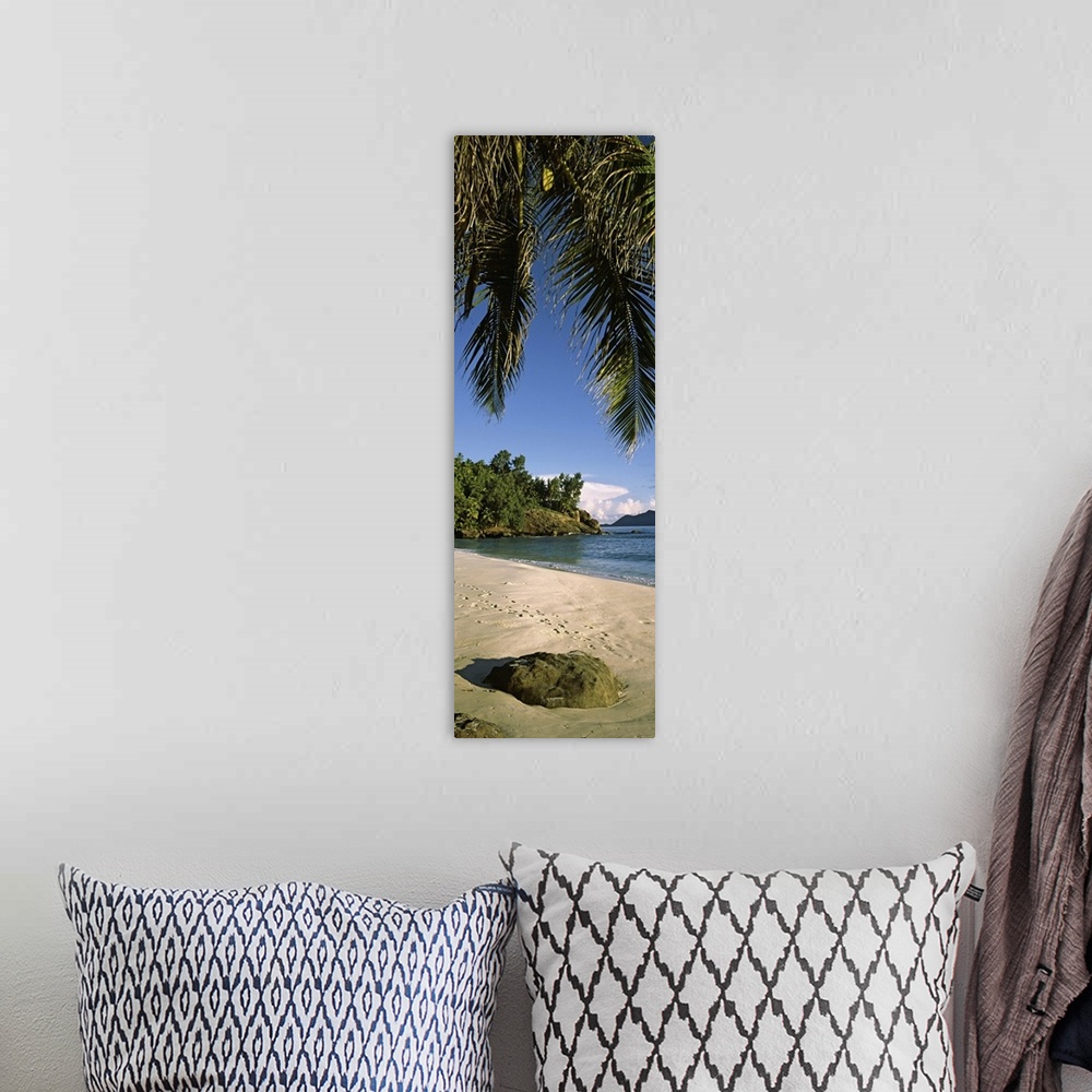 A bohemian room featuring Palm trees and rocks on a small secluded beach on North Island, Seychelles
