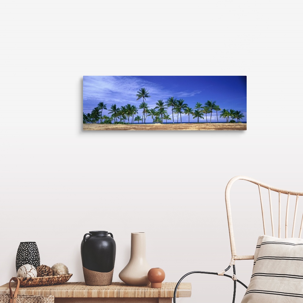 A farmhouse room featuring Panoramic of a row of palm trees lined up along the shore of Hawaii.