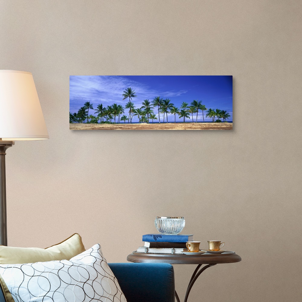 A traditional room featuring Panoramic of a row of palm trees lined up along the shore of Hawaii.
