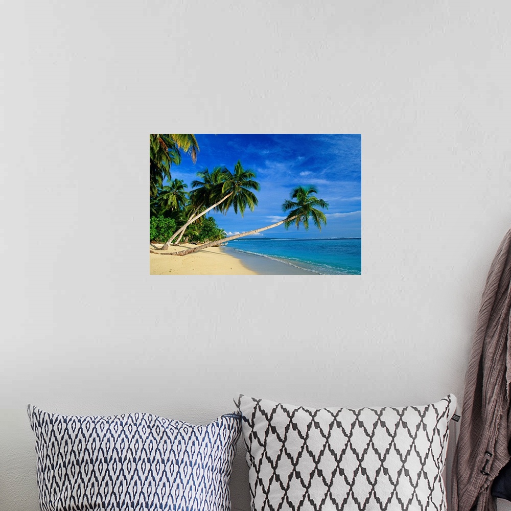 A bohemian room featuring A beautiful photograph of palm trees leaning over the beach with the ocean water breaking onto th...